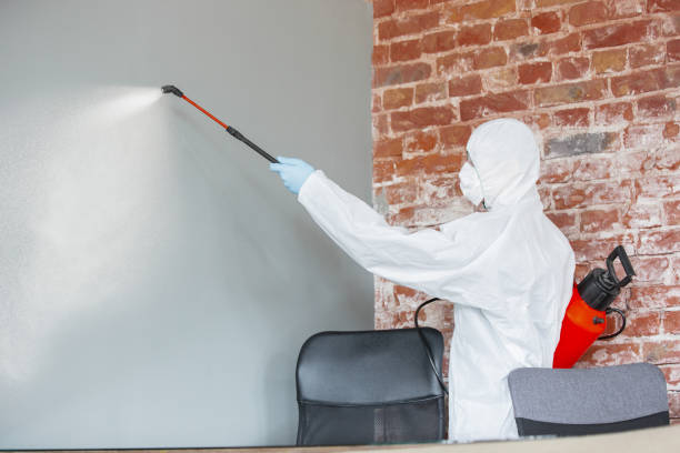 Best Emergency Mold Remediation  in Spokane, WA