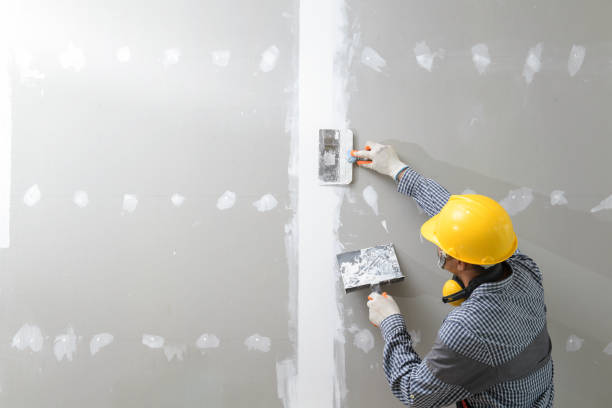 Best Attic Mold Removal  in Spokane, WA
