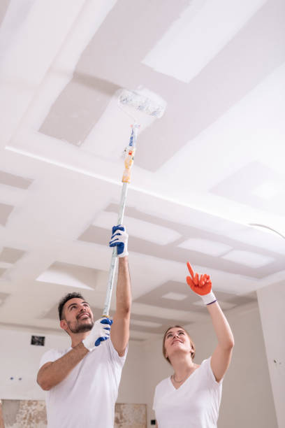 Best Attic Mold Removal  in Spokane, WA